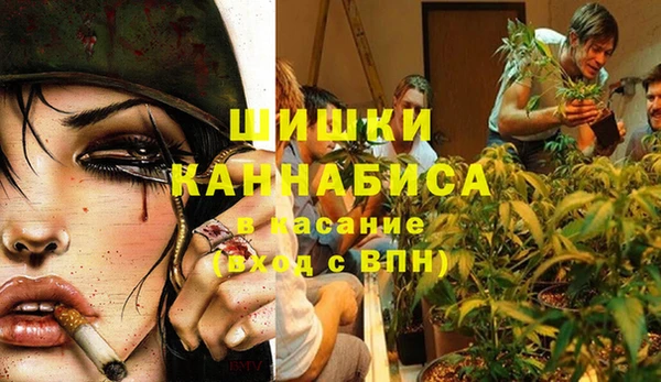 первитин Няндома